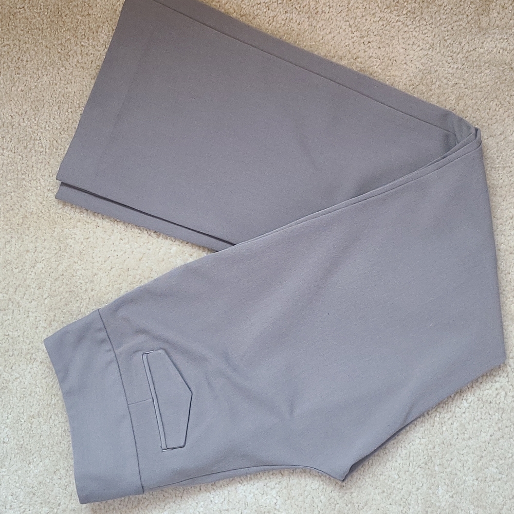 Express Editor Pants Size 6R